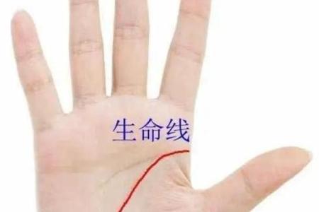 风水手相：生命线短的女人短命吗
