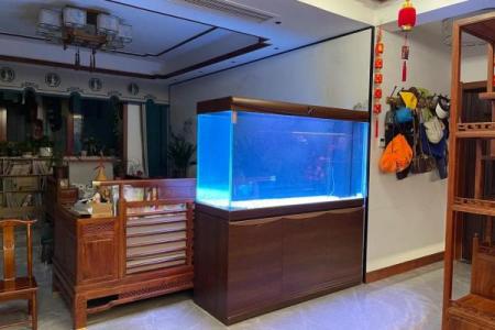 家中养鱼6大风水禁忌客厅鱼缸怎么摆放旺财示意图