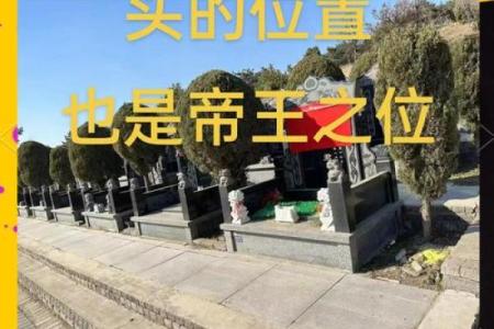 坟地最怕什么破风水