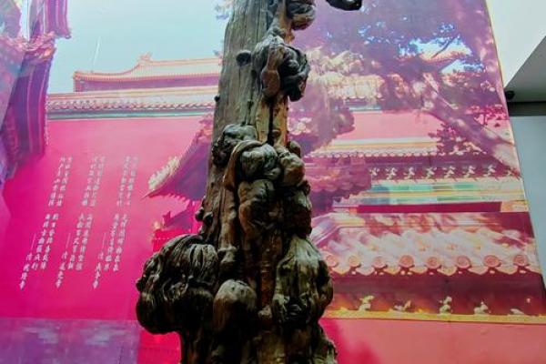 风水学说_北京故宫御花园种了好多柏树