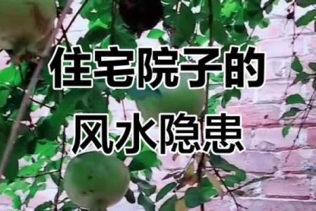 风水禁忌：莫让风水影响到健康