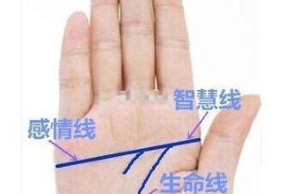 风水观点女子右手假断掌手相解析