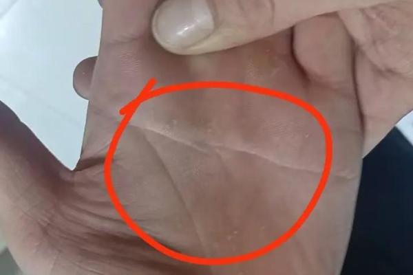 风水观点女子右手假断掌手相解析
