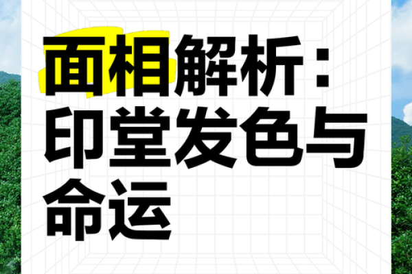 有关印堂面相算命图解