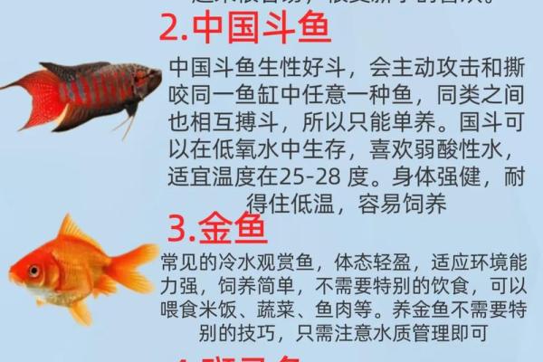 养鱼风水讲究需要注意哪些方面呢
