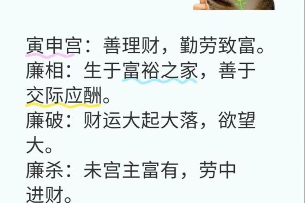 紫微斗数之廉贞星