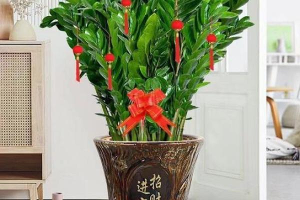 风水家里最旺财的三种树是什么