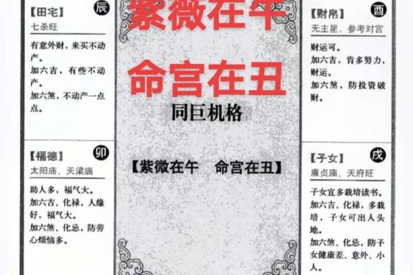 紫薇斗数命宫巨门