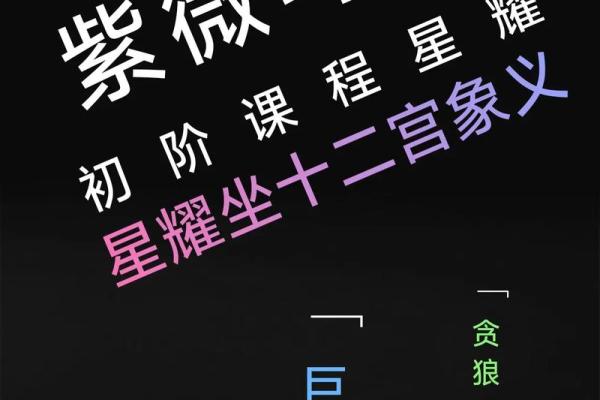 紫薇斗数命宫巨门