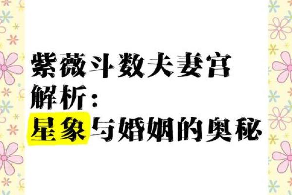 紫微斗数之夫妻宫与诸星,紫微星在夫妻宫是什么意思？