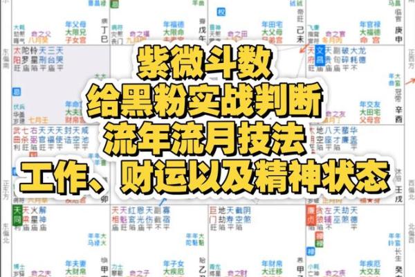 紫薇斗数换工作