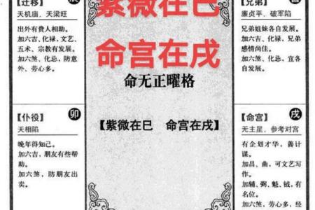 紫薇斗数紫薇入事业