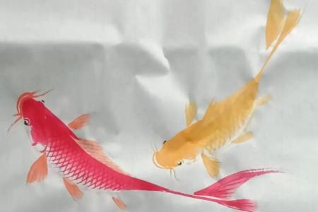 风水鱼的摆放，风水鱼摆放鱼头朝里还是朝外好