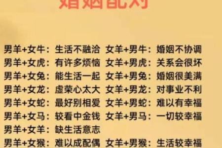算命网免费算命婚姻求子