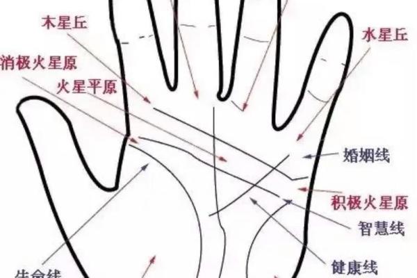 《手相学习百科》：手相重要辅线