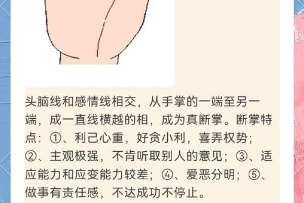 《手相学习百科》：手相重要辅线