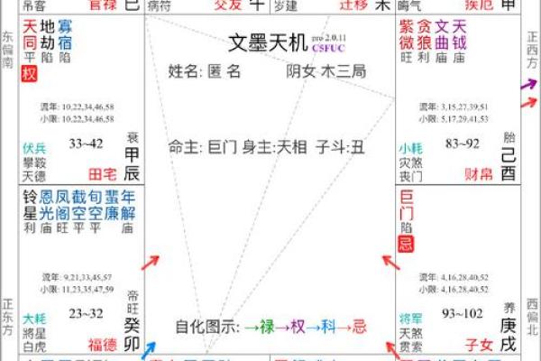 适合当艺术家的紫薇斗数