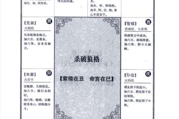 适合当艺术家的紫薇斗数