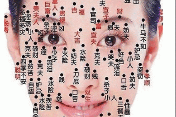 脸部黑痣算命图解