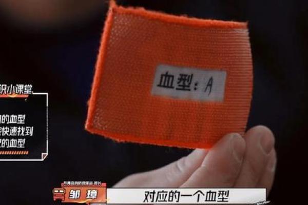 血型教你如何苗条过春节