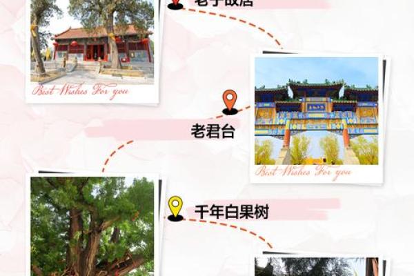道家文化是如何形成的 带你一起了解民俗风情文化