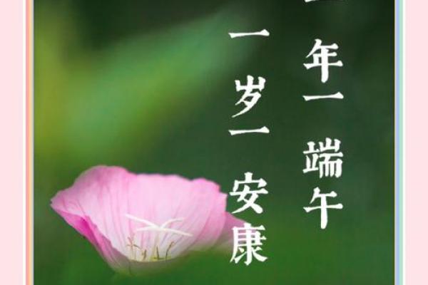 节气节日相遇，欢愉与追思相随