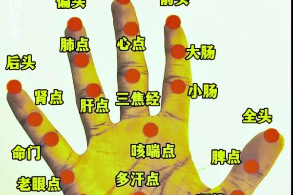 《手相学习百科》：掌纹介绍