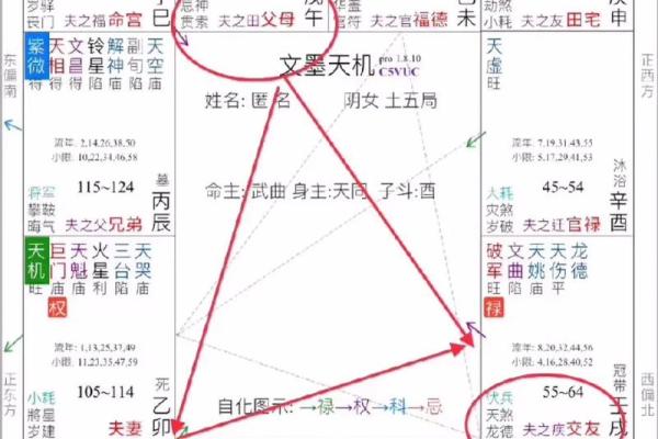 紫微斗数财运,紫微斗数财富分析