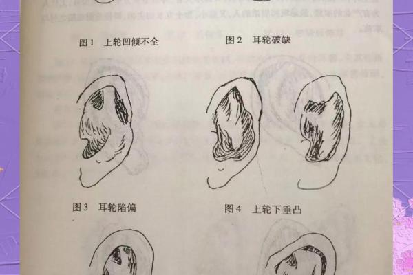 耳相算命图解，如何从耳相看人的命运