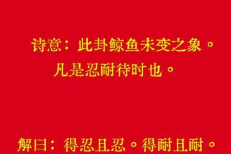花开二度灵签