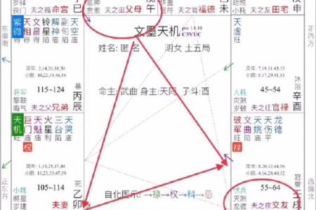 紫微斗数财运,紫微斗数财富分析