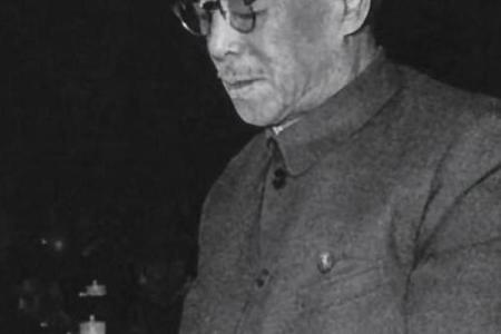 康生八字