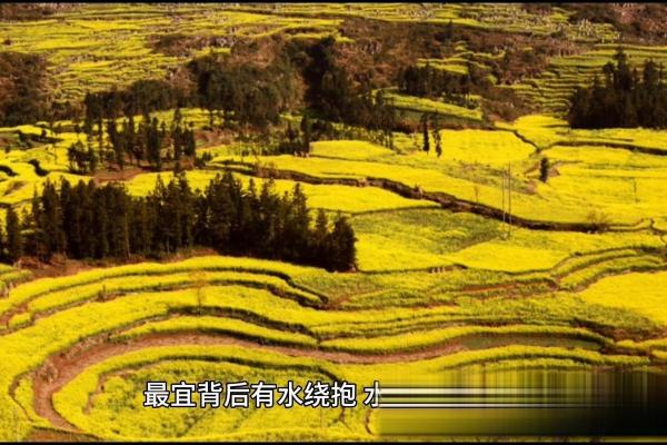 房子选壁纸要注意什么风水
