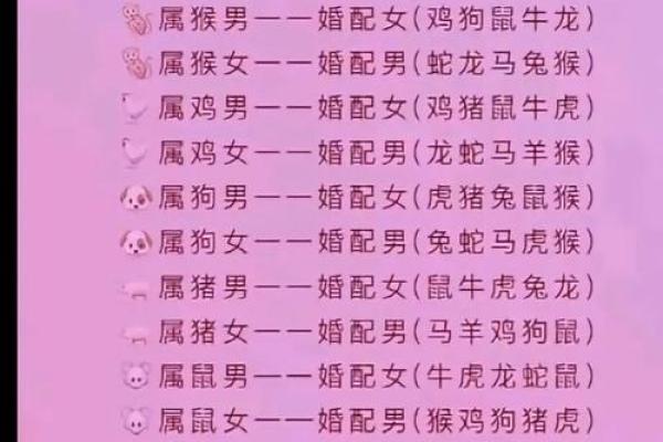 属兔男和什么属相最配对