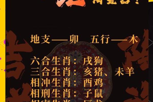 属兔男和什么属相最配对