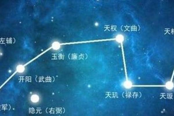 天机紫薇斗数长相