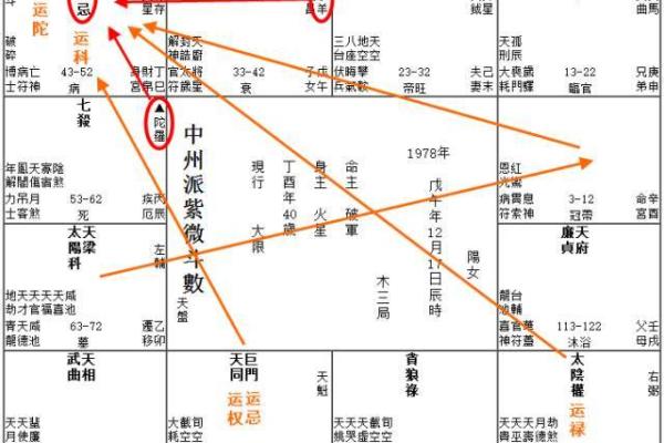 紫薇斗数吉曜是指什么