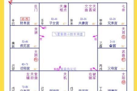 紫微斗数看姻缘感情