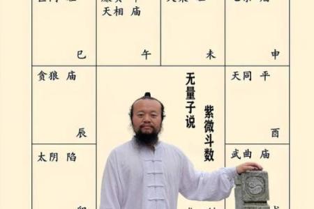 紫薇斗数看驾照