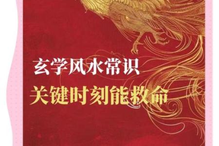 风水学的核心是什么，风水学的核心是气