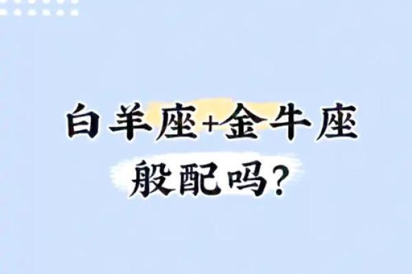 白羊金牛座配对
