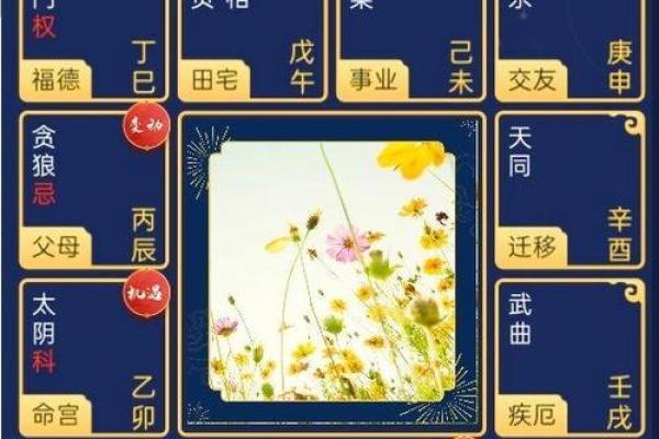 紫薇斗数通天