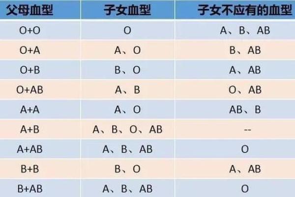 属鼠B血型的人性格与事业姻缘