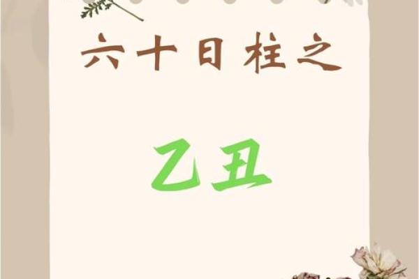 八字乙丑