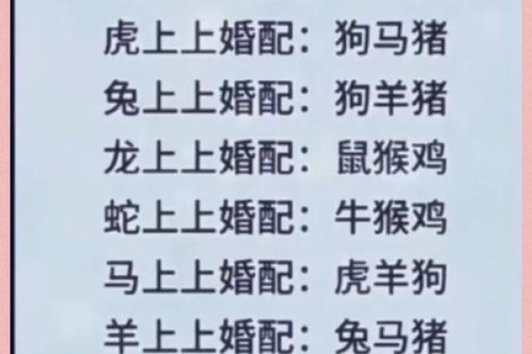95男猪96女鼠相配吗 配对指数有多高