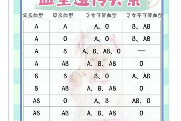 哪种血型智商比较高呢