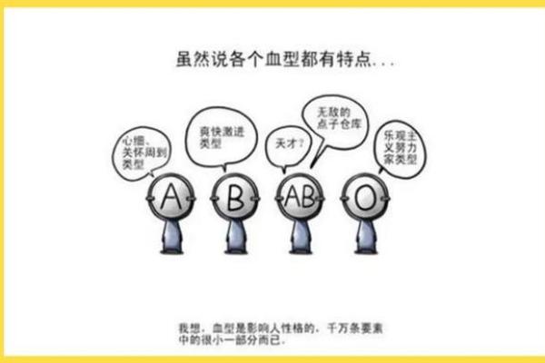 哪种血型智商比较高呢