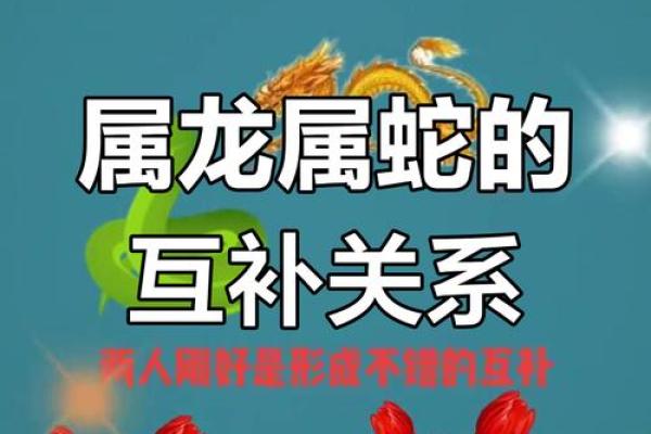 属龙男和属蛇女相配吗 属龙男配对的属相婚配表