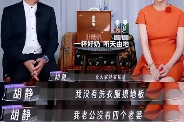 胡静紫薇斗数