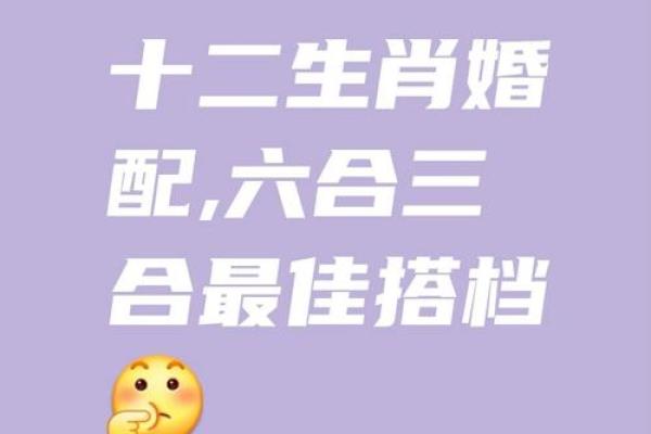 鼠跟什么生肖配对最好 生肖鼠最佳配对